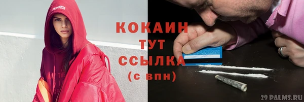 Альфа ПВП Семёнов