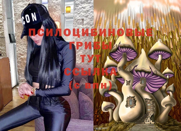 apvp Алексеевка
