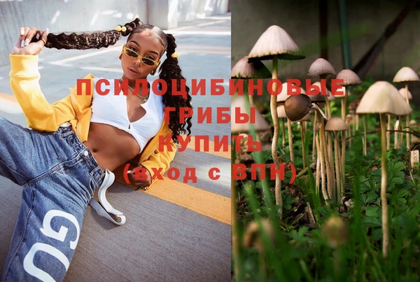 метамфетамин Алексин