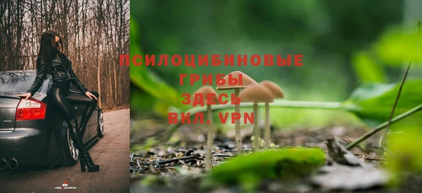 спиды Алзамай