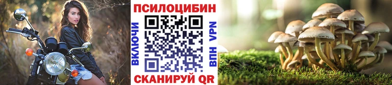 Псилоцибиновые грибы прущие грибы  Жуков 
